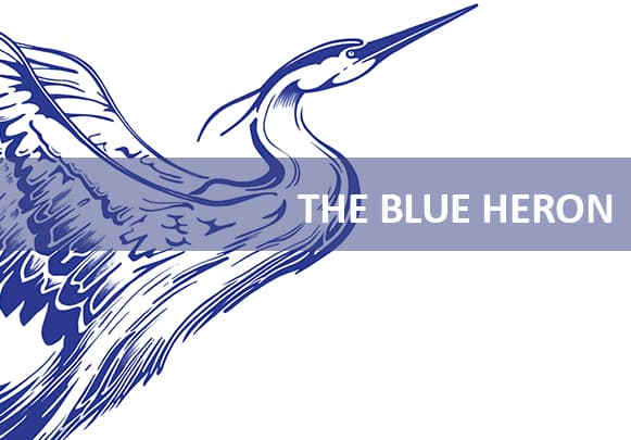 The Blue Heron