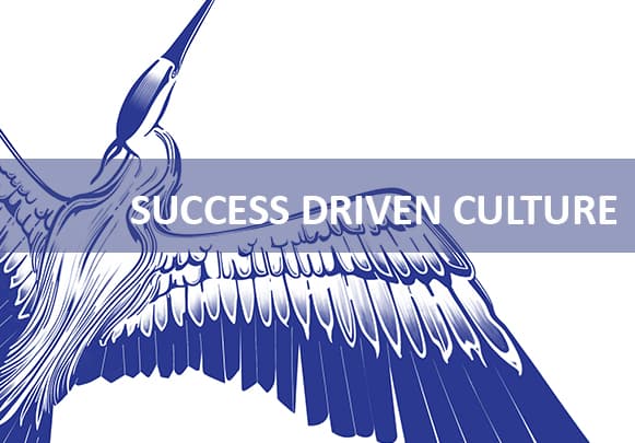 Success-driven culture